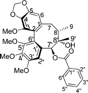 Graphical abstract: Design, synthesis and anti-proliferative activities of novel 7′-O-substituted schisantherin A derivatives