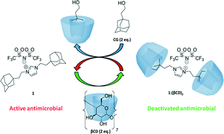 Graphical abstract: Host–guest strategy to potently camouflage and restore the activity and toxicity of drugs affecting bacterial growth and viability