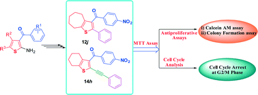 Graphical abstract: Design and microwave assisted synthesis of novel 2-phenyl/2-phenylethynyl-3-aroyl thiophenes as potent antiproliferative agents