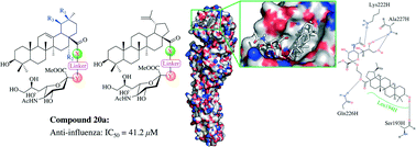Graphical abstract: Design, synthesis and biological activity evaluation of novel conjugated sialic acid and pentacyclic triterpene derivatives as anti-influenza entry inhibitors