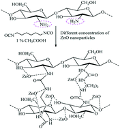Graphical abstract: Recent trends in smart and flexible three-dimensional cross-linked polymers: synthesis of chitosan–ZnO nanocomposite hydrogels for insulin drug delivery