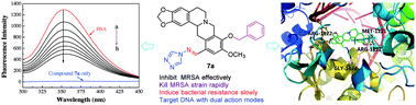 Graphical abstract: Design, synthesis and biological evaluation of novel Schiff base-bridged tetrahydroprotoberberine triazoles as a new type of potential antimicrobial agents