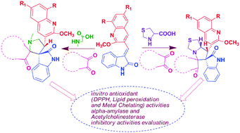 Graphical abstract: Synthesis and biological evaluation of new spirooxindoles with embedded pharmacophores