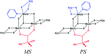 Graphical abstract: Synthesis, structure and NMR studies of trinuclear Mo3S4 clusters coordinated with dithiophosphate and chiral carboxylate ligands