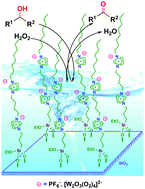Graphical abstract: Immobilized bis-layered ionic liquids/peroxotungstates as an efficient catalyst for selective oxidation of alcohols in neat water