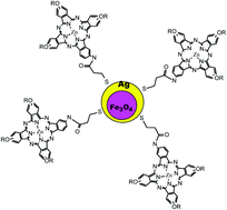 Graphical abstract: Comparative studies on photophysical and optical limiting characterizations of low symmetry phthalocyanine linked to Fe3O4–Ag core–shell or hybrid nanoparticles