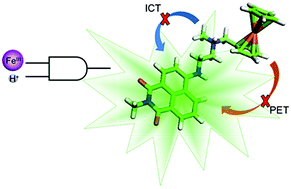 Graphical abstract: Water-soluble naphthalimide-based ‘Pourbaix sensors’: pH and redox-activated fluorescent AND logic gates based on photoinduced electron transfer