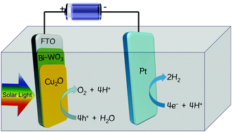Graphical abstract: Fabrication of p-Cu2O/n-Bi-WO3 heterojunction thin films: optical and photoelectrochemical properties