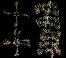 Graphical abstract: Hierarchical transfer of chiral information from the molecular to the mesoscopic scale by Langmuir–Blodgett deposition of tetrasteroid-porphyrins