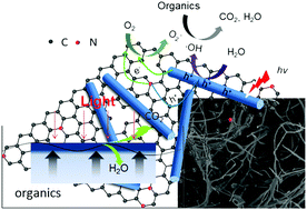 Graphical abstract: A biomass carbon mass coated with modified TiO2 nanotube/graphene for photocatalysis