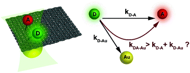 Graphical abstract: FRET enhancement close to gold nanoparticles positioned in DNA origami constructs
