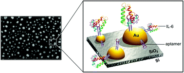 Graphical abstract: Dual-mode refractive index and charge sensing to investigate complex surface chemistry on nanostructures