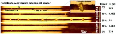 Graphical abstract: Deformable and wearable carbon nanotube microwire-based sensors for ultrasensitive monitoring of strain, pressure and torsion