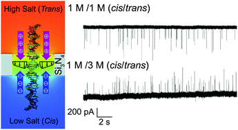 Graphical abstract: Ionic current modulation from DNA translocation through nanopores under high ionic strength and concentration gradients