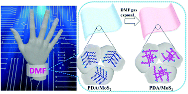 Graphical abstract: A flexible transparent colorimetric wrist strap sensor