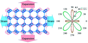 Graphical abstract: δ-Phosphorene: a two dimensional material with a highly negative Poisson's ratio
