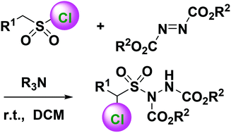 Graphical abstract: Tertiary amine-catalyzed and direct synthesis of α-chloroalkanesulfonylhydrazines from azodicarboxylates and sulfonyl chlorides