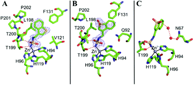 Graphical abstract: The anticonvulsant sulfamide JNJ-26990990 and its S,S-dioxide analog strongly inhibit carbonic anhydrases: solution and X-ray crystallographic studies