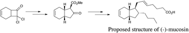Graphical abstract: Total synthesis based on the originally claimed structure of mucosin