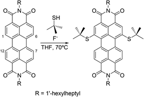 Graphical abstract: Direct alkylthio-functionalization of unsubstituted perylenediimides
