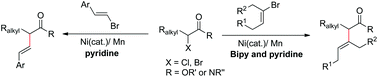 Graphical abstract: Ni-catalyzed reductive coupling of α-halocarbonyl derivatives with vinyl bromides