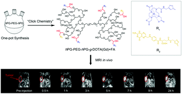 Graphical abstract: Hyperbranched poly(glycerol) as a T1 contrast agent for tumor-targeted magnetic resonance imaging in vivo