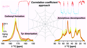 Graphical abstract: Multilateral characterization of recombinant spider silk in thermal degradation