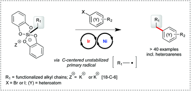 Graphical abstract: Primary alkyl bis-catecholato silicates in dual photoredox/nickel catalysis: aryl- and heteroaryl-alkyl cross coupling reactions