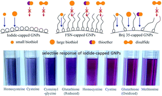 Graphical abstract: Differentiation of biothiols from other sulfur-containing biomolecules using iodide-capped gold nanoparticles