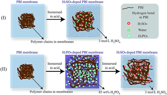 Graphical abstract: A H3PO4 preswelling strategy to enhance the proton conductivity of a H2SO4-doped polybenzimidazole membrane for vanadium flow batteries