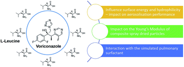 Graphical abstract: An investigation of surface properties, local elastic modulus and interaction with simulated pulmonary surfactant of surface modified inhalable voriconazole dry powders using atomic force microscopy