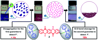 Graphical abstract: A stable aggregate system of silyl ether substituted quinacridone and its aggregation-state changes induced by fluoride-ions: inspiration for a dual guaranteed strategy for probe design