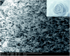 Graphical abstract: A new lipase–inorganic hybrid nanoflower with enhanced enzyme activity