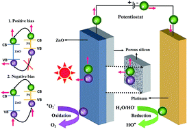 Graphical abstract: Photoelectrocatalytic activity of ZnO coated nano-porous silicon by atomic layer deposition