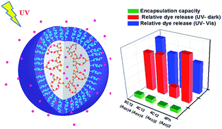 Graphical abstract: Photoresponsive assemblies of linear-dendritic copolymers containing azobenzene in the dendron interior: the effect of the dendron structure on dye encapsulation and release