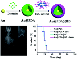 Graphical abstract: Gold nanoparticles coated with a polydopamine layer and dextran brush surface for diagnosis and highly efficient photothermal therapy of tumors