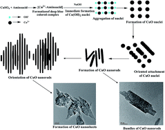 Graphical abstract: CuO nanostructures: facile synthesis and applications for enhanced photodegradation of organic compounds and reduction of p-nitrophenol from aqueous phase