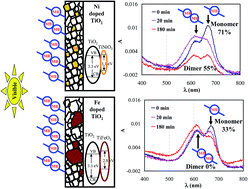 Graphical abstract: Photo-induced monomer/dimer kinetics in methylene blue degradation over doped and phase controlled nano-TiO2 films
