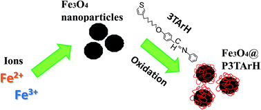 Graphical abstract: Removal of endocrine disruptor di-(2-ethylhexyl)phthalate by modified polythiophene-coated magnetic nanoparticles: characterization, adsorption isotherm, kinetic study, thermodynamics