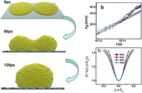 Graphical abstract: Drop formation and coalescence of liquid Au on nano carbon substrate