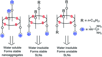 Graphical abstract: p-tert-Butylthiacalix[4]arenes equipped with guanidinium fragments: aggregation, cytotoxicity, and DNA binding abilities