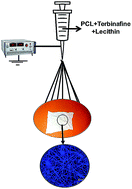 Graphical abstract: Antifungal properties of lecithin- and terbinafine-loaded electrospun poly(ε-caprolactone) nanofibres