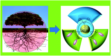 Graphical abstract: Asymmetric dendrimers with improved electro-optic performance: synthesis and characterization