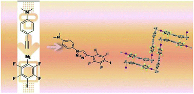 Graphical abstract: One “Click” access to self-complementary molecular modules for halogen bonding