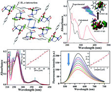 Graphical abstract: Synthesis, crystal structure, DFT/TDDFT calculation, photophysical properties and DNA binding studies of morpholino moiety ligand based two Cu(ii) complexes in combination with carboxylates