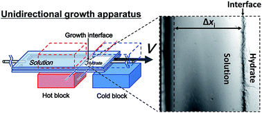 Graphical abstract: Evaluation of the performance of kinetic inhibitors for clathrate hydrate using unidirectional growth apparatus