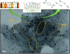 Graphical abstract: Tungsten-promoted titania as solid acid for catalytic hydrolysis of waste bottle PET in supercritical CO2
