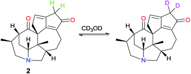 Graphical abstract: New alkaloids from Daphniphyllum himalense