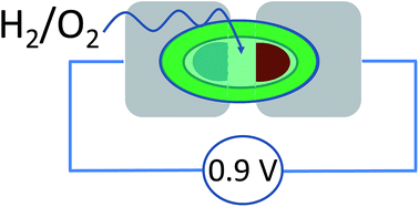 Graphical abstract: Electrocatalysis by H2–O2 membrane-free fuel cell enzymes in aqueous microenvironments confined by an ionic liquid