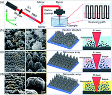 Graphical abstract: One-step facile fabrication of controllable microcone and micromolar silicon arrays with tunable wettability by liquid-assisted femtosecond laser irradiation